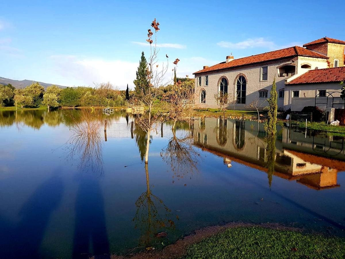 Sandmartins Suider-Paarl Exterior photo